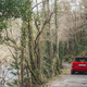 Illustration for article titled Your Ridiculously Awesome Lancia Delta Integrale Wallpapers Are Here